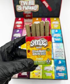 Snoozies Minis Preroll – premium quality small prerolls made with top-shelf flower. Smooth, convenient, and perfect for quick sessions or micro-dosing.