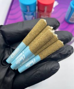 Baby Jeeter Pre Rolls | Experience the legendary Jeeter quality in a half-gram, solo size.